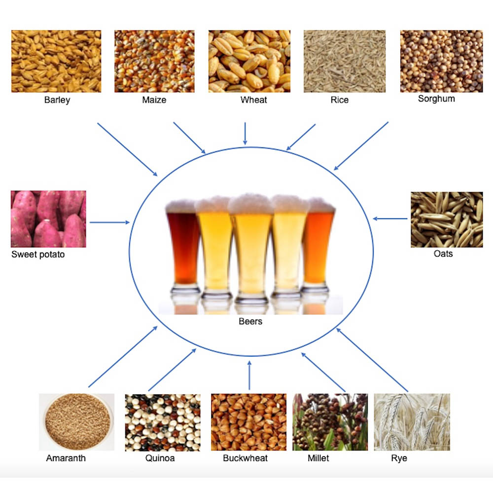 Why are auxiliary raw materials added to beer brewing?